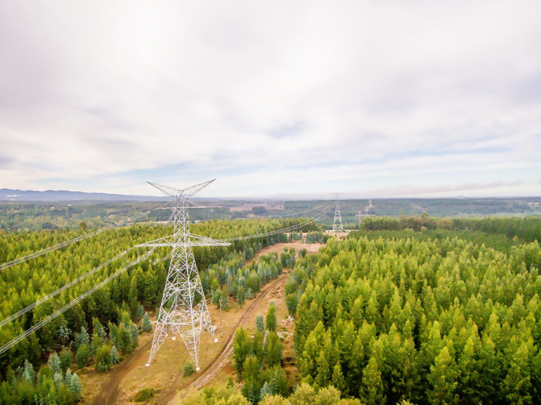 fotografo de publicitario25 fotografo de publicitario25