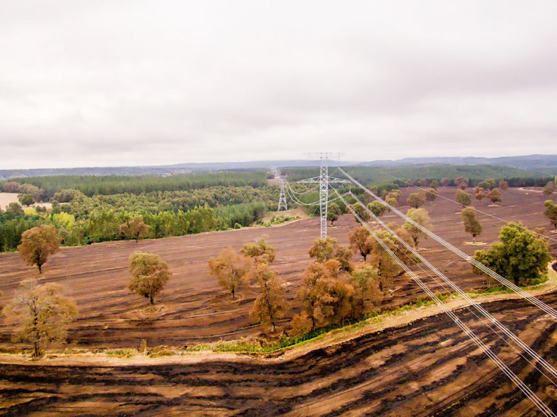 fotografo de publicitario26 fotografo de publicitario26